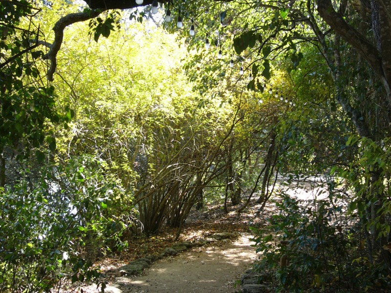 Path to the Point 2.JPG